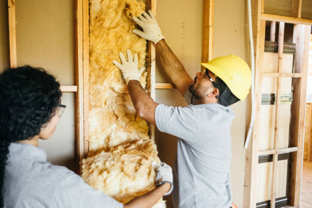 Best Insulation for New Construction  in Sea Breeze, NC