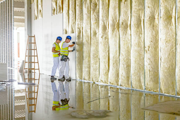 Best Wall Insulation Contractor  in Sea Breeze, NC